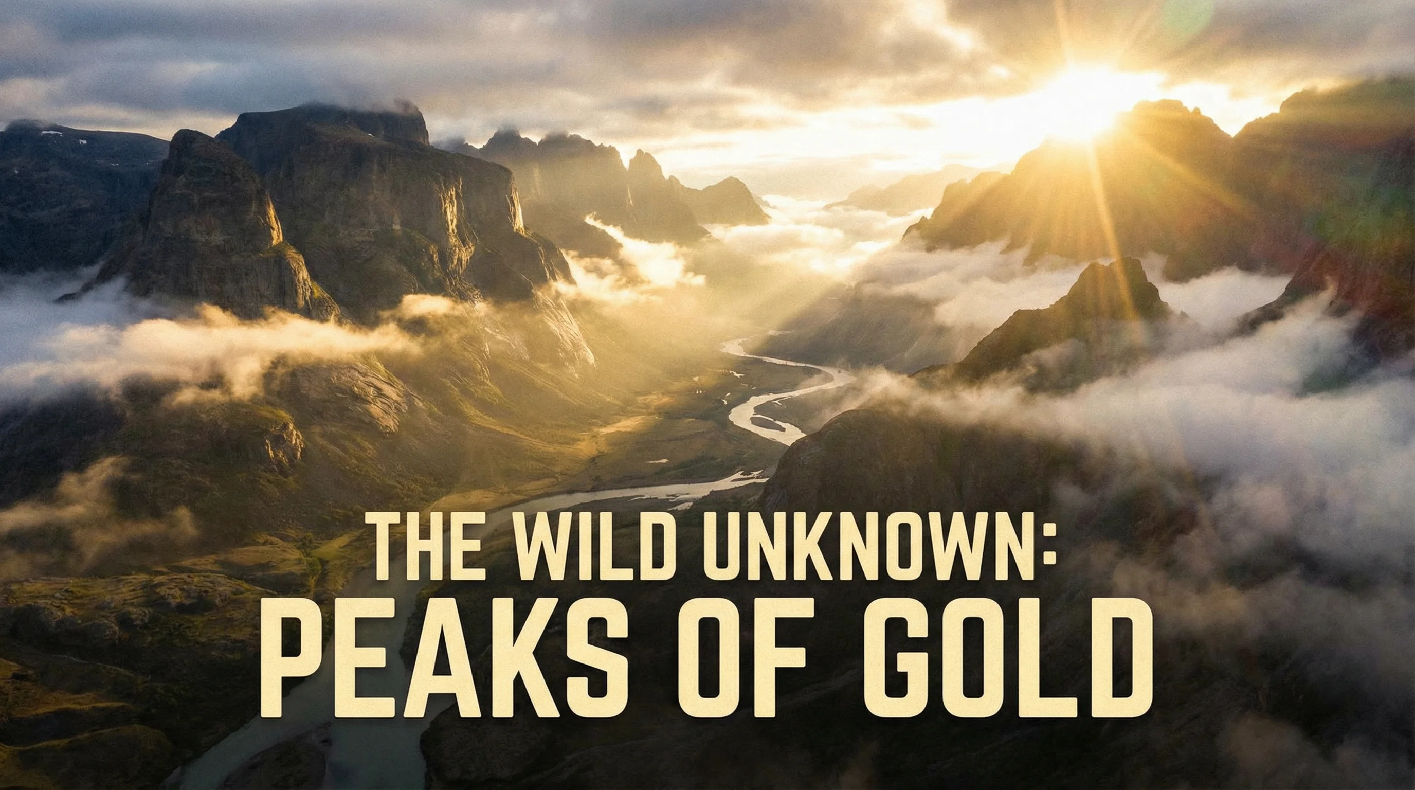 抖阴探花精选内容展示